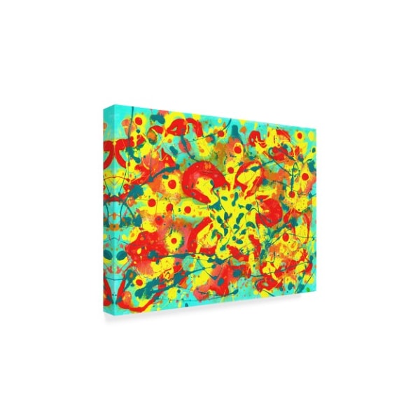 Amy Vangsgard 'Abstract Floral Fantasy' Canvas Art,18x24